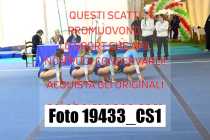 19433_CS1-