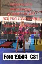 19504_CS1-