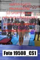 19508_CS1-