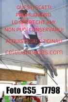 CS5_17798-