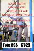 CS5_17825-