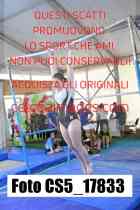 CS5_17833-