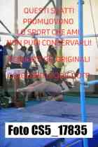 CS5_17835-