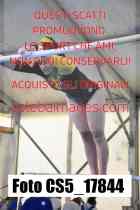 CS5_17844-