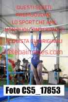 CS5_17853-