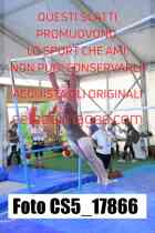 CS5_17866-