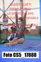 CS5_17888-