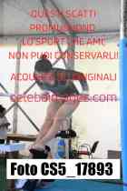 CS5_17893-