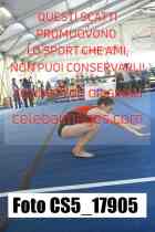 CS5_17905-