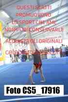 CS5_17916-