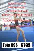 CS5_17935-
