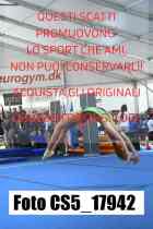 CS5_17942-