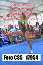 CS5_17954-