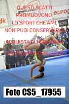 CS5_17955-