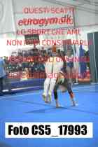 CS5_17993-