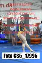 CS5_17995-