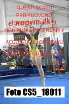 CS5_18011-