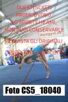 CS5_18040-