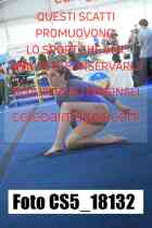 CS5_18132-