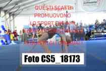 CS5_18173-