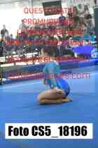 CS5_18196-