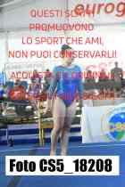 CS5_18208-