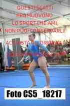 CS5_18217-