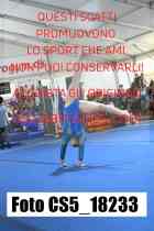CS5_18233-