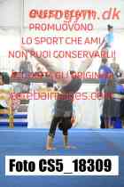 CS5_18309-