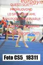 CS5_18311-