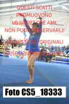 CS5_18333-