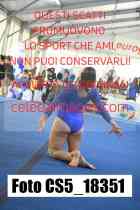 CS5_18351-