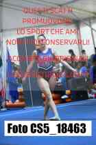CS5_18463-