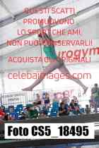 CS5_18495-