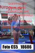 CS5_18686-