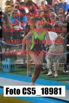CS5_18981-