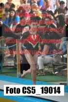 CS5_19014-