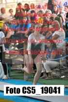 CS5_19041-