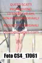 CS4_17061-