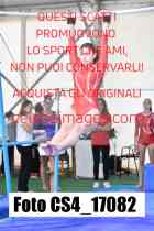CS4_17082-