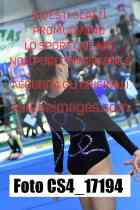 CS4_17194-