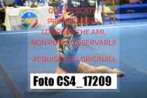 CS4_17209-