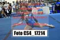 CS4_17214-