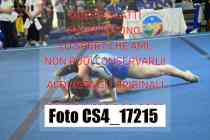 CS4_17215-
