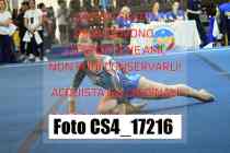 CS4_17216-