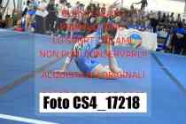 CS4_17218-