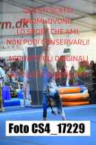 CS4_17229-