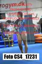 CS4_17231-