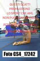 CS4_17242-