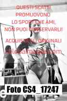 CS4_17247-